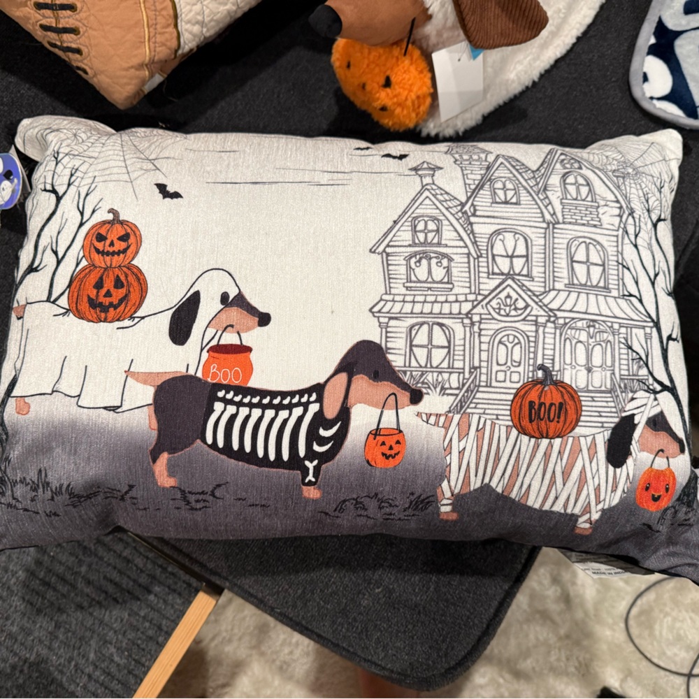 Viral Dachshund Halloween Pillow from Homegoods